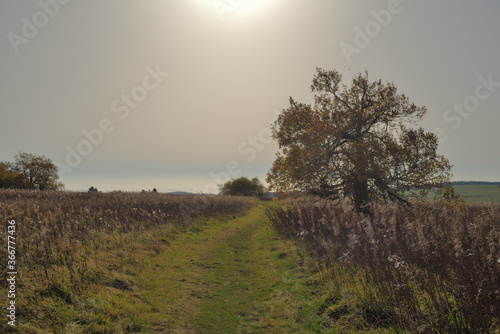 Auf dem Wanderweg Extratour Hochrhöner  in einer herbstlichen Landschaft photo