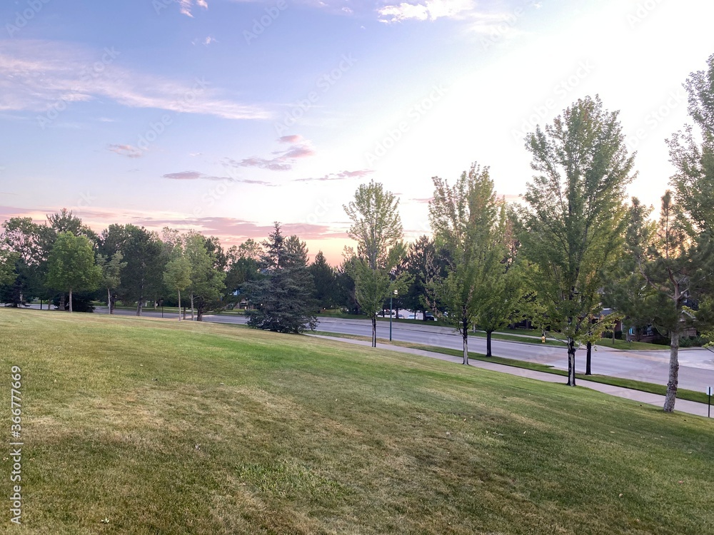 Obraz premium A road in the park