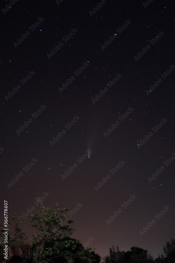 Comet Neowise in the black starry night sky. The sky of the Northern hemisphere at night, various constellations, comets and cosmic celestial bodies. Night sky, space.