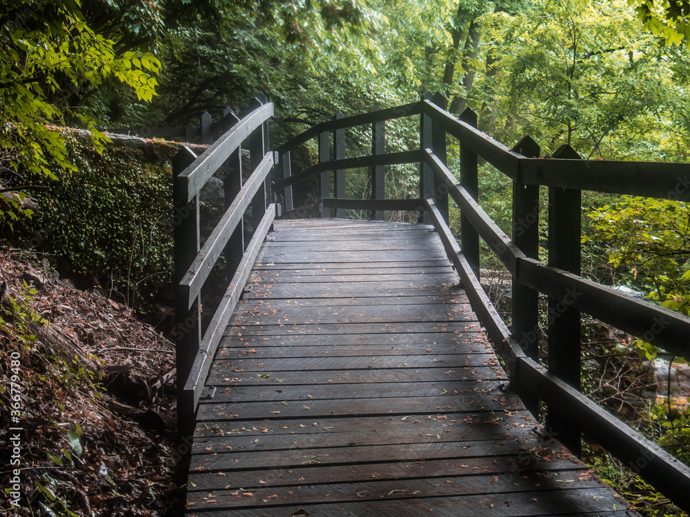 A wooden path mysteriously winds into a forest in a Pennsylvania park A wooden path mysteriously winds into a forest in a Pennsylvania park