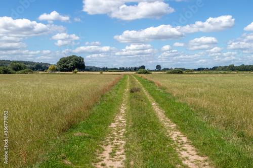 Obraz na płótnie road in the field w salonie