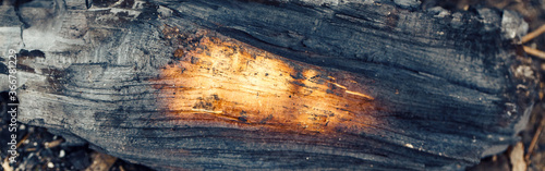 Natural ash charcoal fire place texture background. Closeup macro of old aged burnt wood. Burnt tree log nature backdrop. Dirty messy surface of firepit. Web banner header for a website. photo