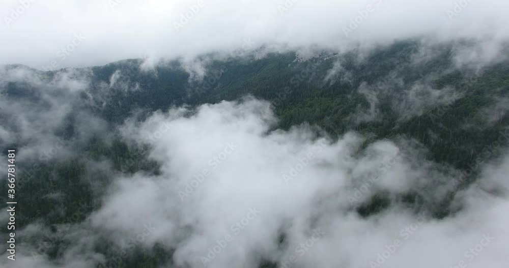 Flying with drone above amazing forest area. The drone passes through the clouds Flying with drone above amazing forest area. The drone passes through the clouds