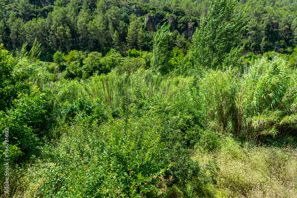 View of the landscape of the Mijares river bed with lots of vegetation in very green tones as it passes through the town of Ayodar View of the landscape of the Mijares river bed with lots of vegetation in very green tones as it passes through the town of Ayodar