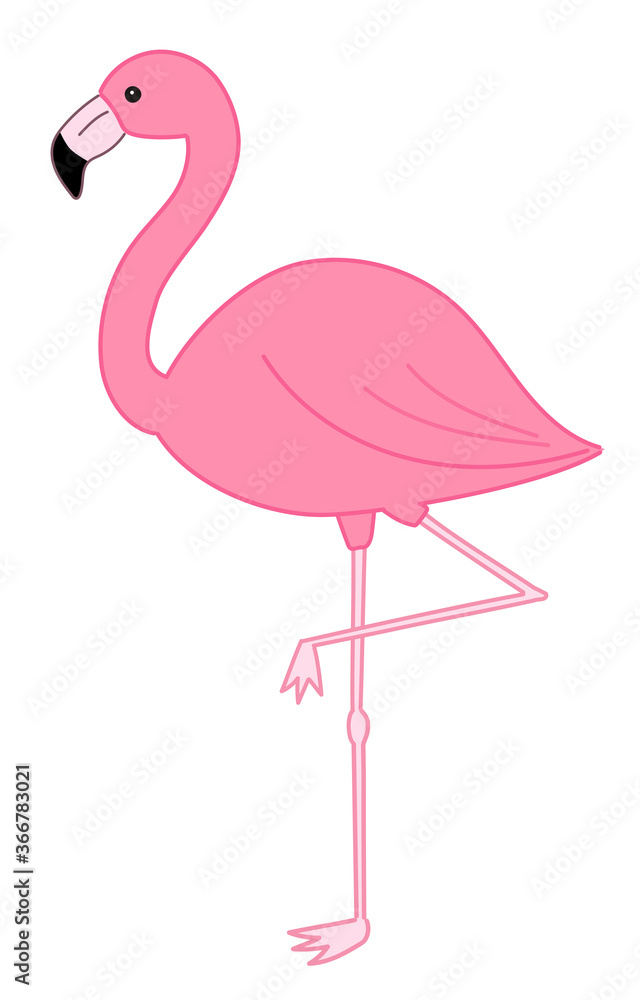 Fototapeta premium Flamingo bird standing on one leg. Vector illustration isolated on white background.
