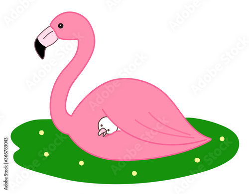 Pink flamingo and a baby bird. Vector illustration isolated on white background.