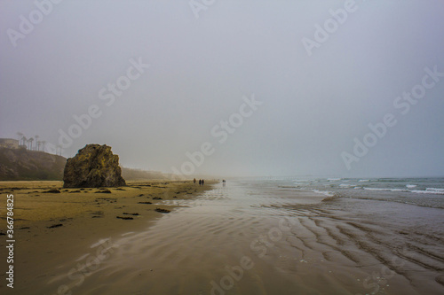 beach at dusk