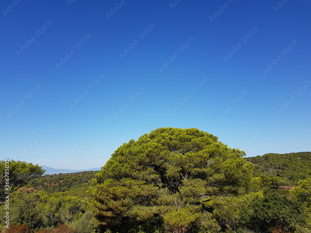 Paesaggio di Sardegna