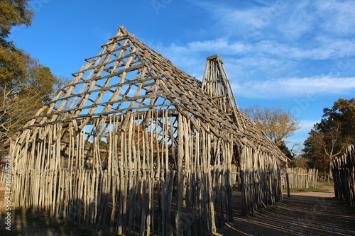 thatched roof house
