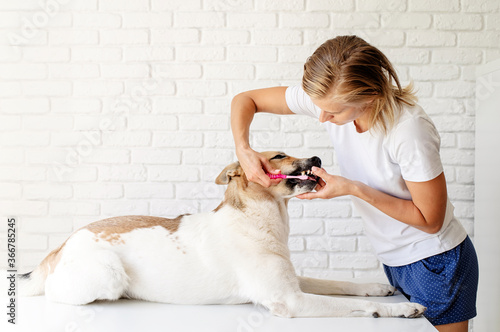 Young blond woman brushing teeth of her dog