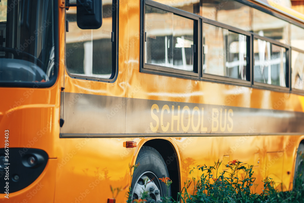 Big yellow school bus, back to school, delivery of children to school