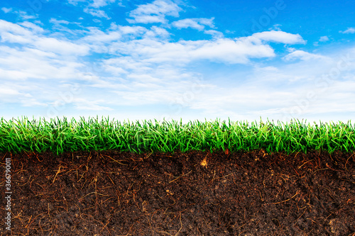 Cross section brown soil and green grass in underground with blue sky in background.