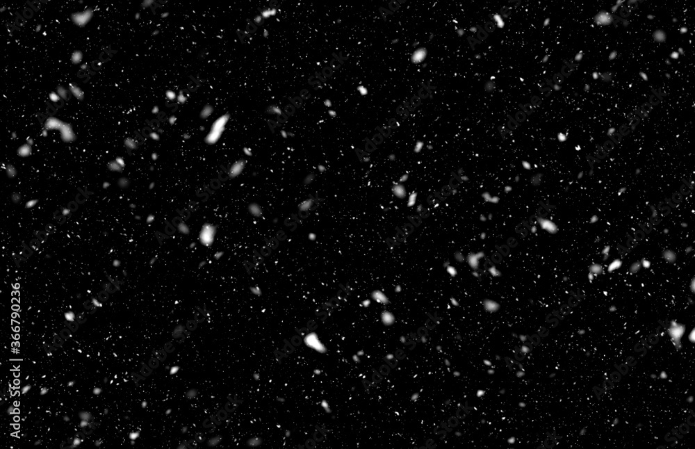Christmas winter white snow falling in black background.