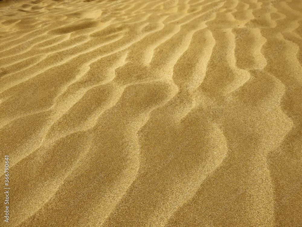 Sand texture. Sand texture.