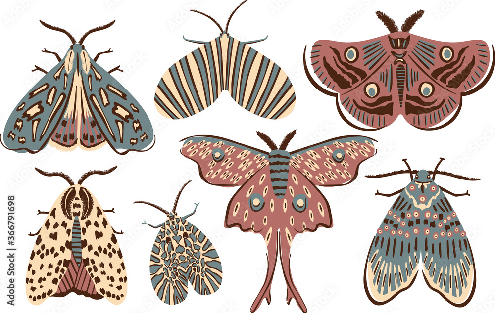 Moth vector clipart illustration set hand drawn Stock Vector | Adobe Stock
