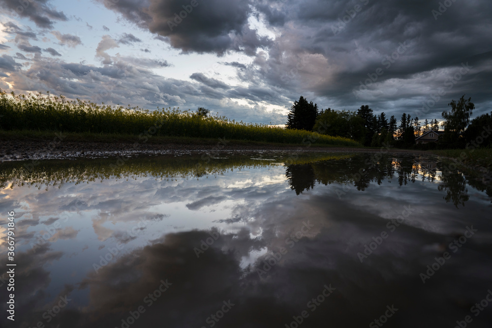 A puddle reflection on a rural township road in Rocky View County Alberta after a thunderstorm.