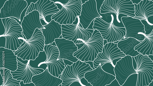 Leaf line art background vector, wallpaper and print, house plant, Vector illustration.