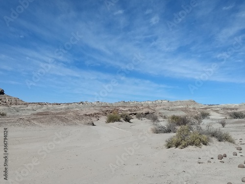 desert landscape in ischigualasto