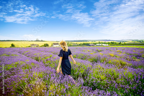 Woman walking through a field of lavender
