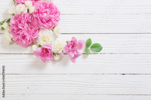 pink and white roses on white wooden background