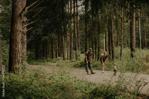 The family is walking in a pine forest.