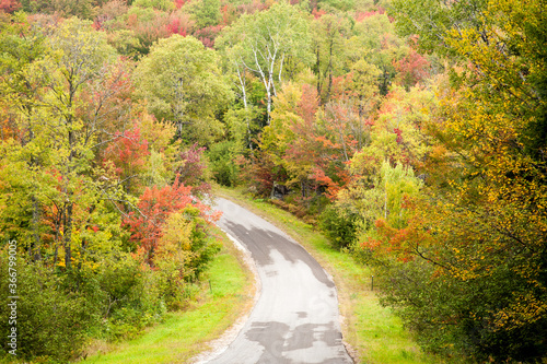 A winding road through a forest of hardwood trees showing autumn fall colors in Adirondack National Park in Upper New York