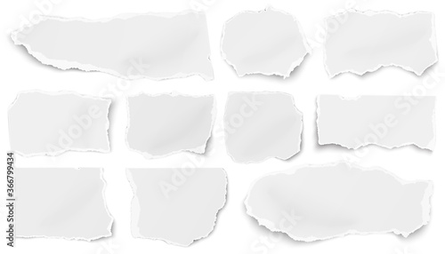Set of paper different tears scraps isolated on white background