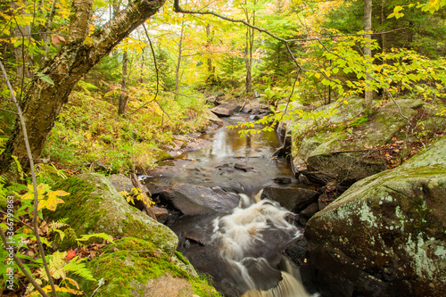 A mountain stream in Adirondack National Park in Upper New York