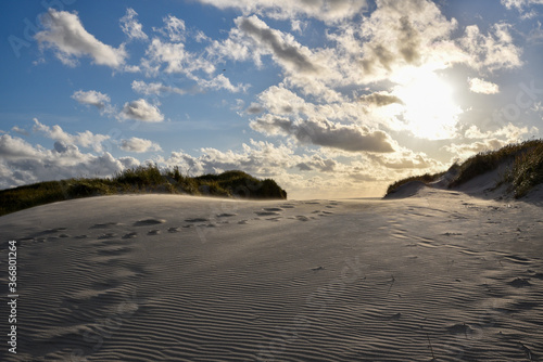Fototapeta Naklejka Na Ścianę i Meble -  Dune on the West Coast of Denmark