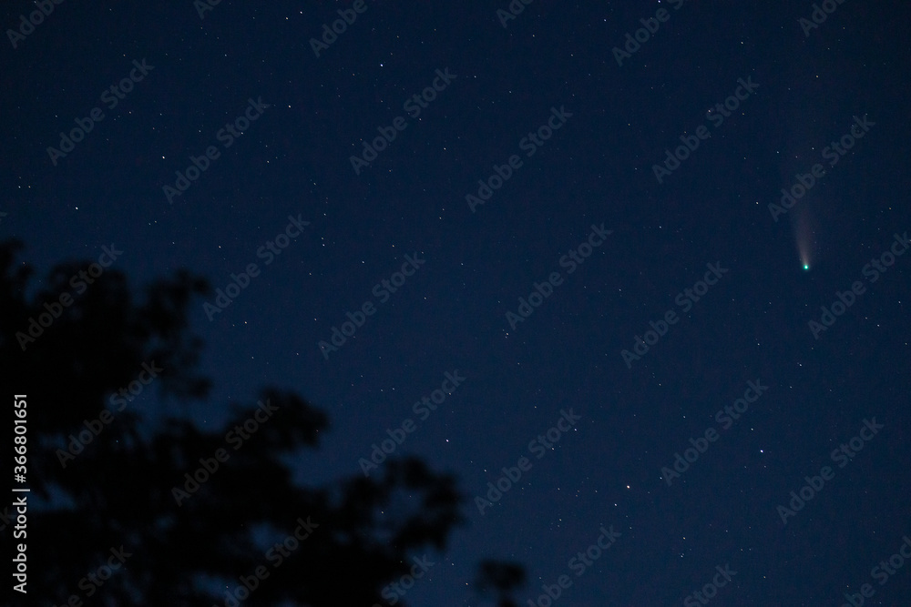 Neowise C/2020 F3 comet in ukrainian sky at July, 22. Neowise C/2020 F3 comet in ukrainian sky at July, 22.
