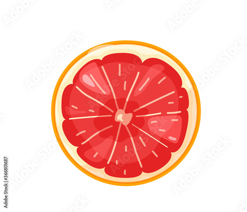 Red sliced orange grapefruit fruit in bright color cartoon flat style isolated on white background. Healthy food vector illustration. Organic meal concept