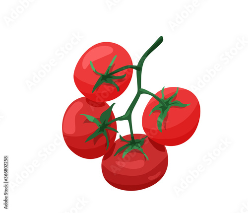 Branch of red tomatoes in bright color cartoon flat style isolated on white background. Healthy food vector illustration. Organic meal concept