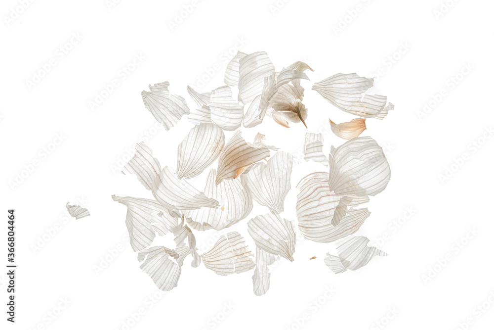 Garlic peel on translucent white background Garlic peel on translucent white background