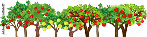 Border with different apple trees with ripe fruits isolated on white background. Harvest time