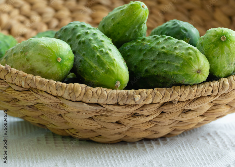 Fototapeta premium fresh cucumbers lying in a wicker basket
