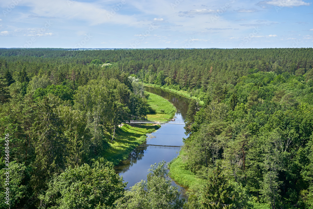 Aerial view of the river in the forest