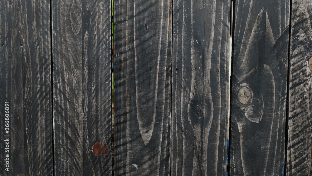 Fototapeta premium In selective focus of black wood sheet with a nature skin pattern for background texture 
