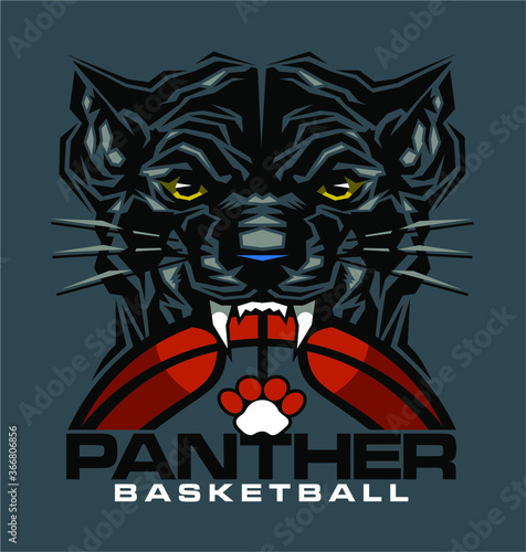 panther basketball team design with ball and mascot for school, college or league