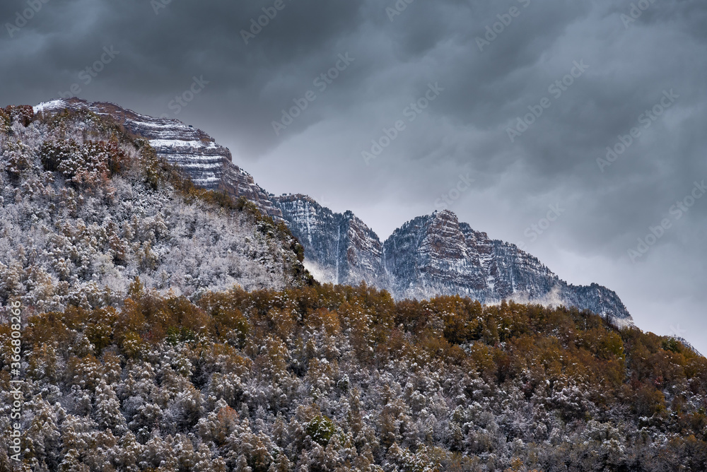 Forest and snowy mountain ridge against cloudy sky on stormy day in autumn countryside Forest and snowy mountain ridge against cloudy sky on stormy day in autumn countryside
