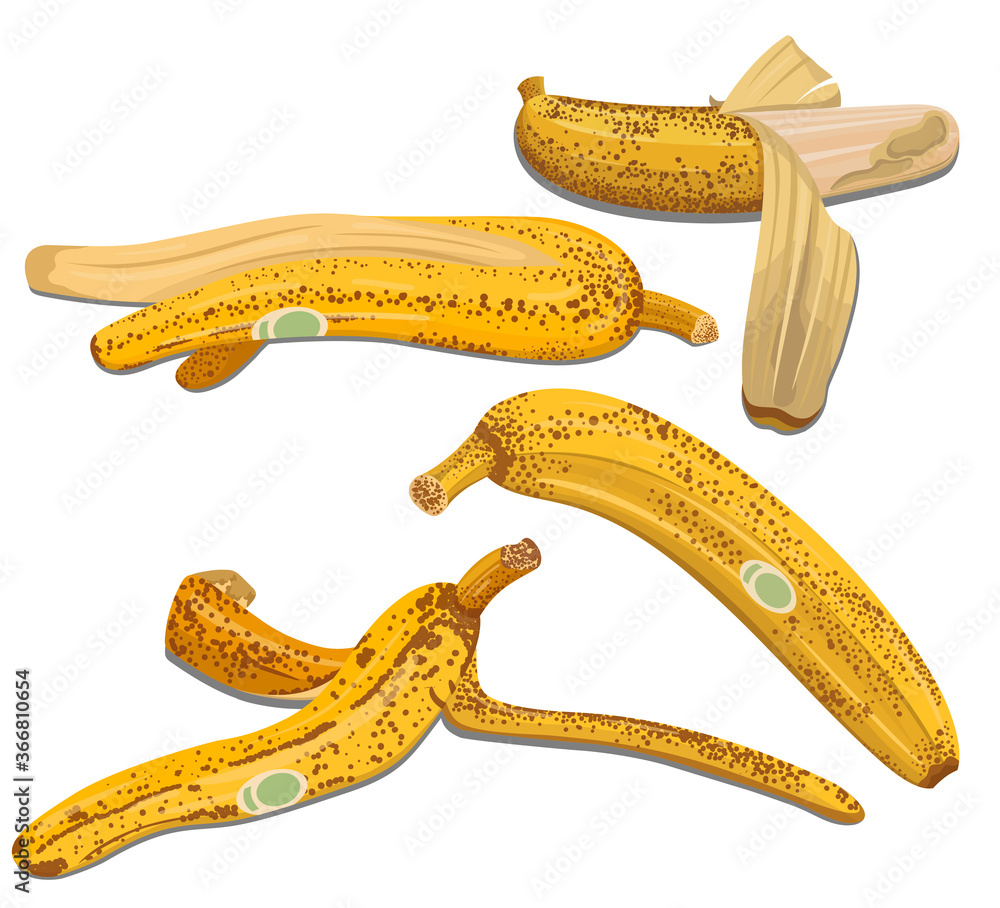 banana banana