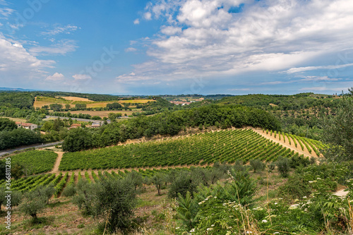 Die Weinberge bei Monteriggioni in der Toskana, Italien 