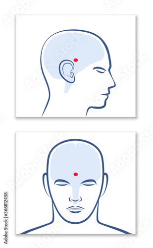 Canvas Print Third Eye Pineal Gland Epiphysis Cerebri Position Brain PINEAL GLAND or THIRD EYE