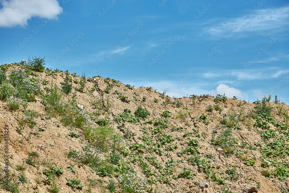 Land with sparse grass in front of a blue sky