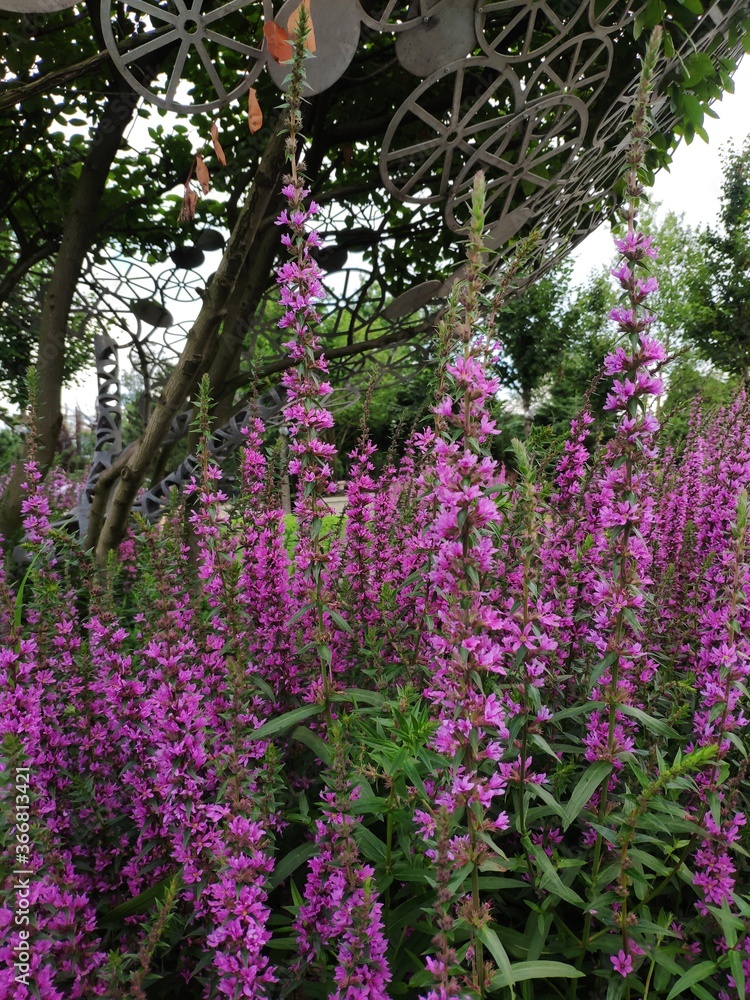 Obraz premium The flowers in the park. The flowers and bees in the garden