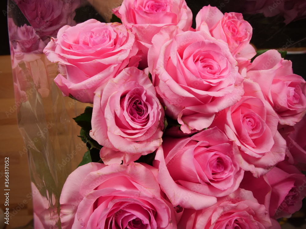 A bouquet of pink roses A bouquet of pink roses