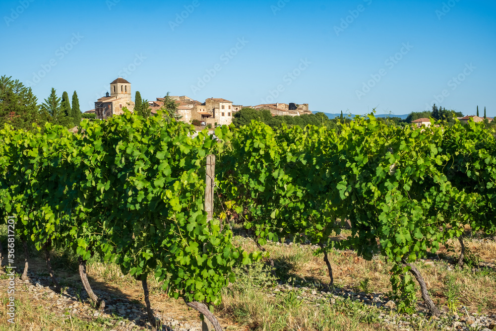 France, Ardèche (07), Vinezac, village de caractère de l'Ardèche méridionale au coeur des vignes.