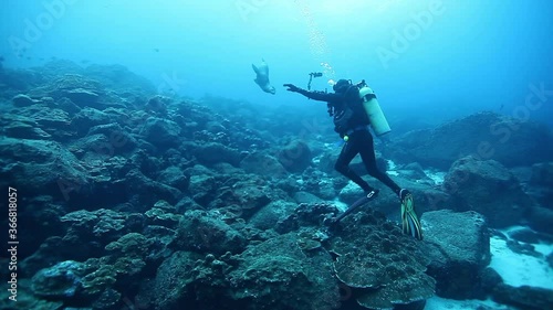 Wallpaper Mural Diver near school of fish one species underwater. Amazing, beautiful underwater marine life world of sea creatures in Pacific Ocean. Torontodigital.ca
