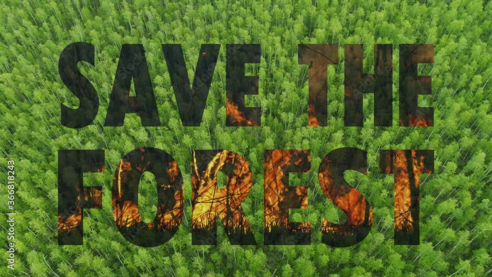 save the forest, deforestation concept. ecology and nature landscape