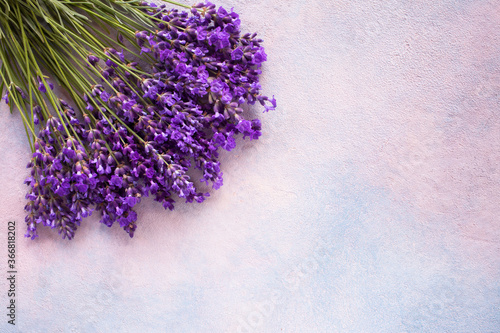 Background with lavender flowers  bouquet  space for text  congratulations