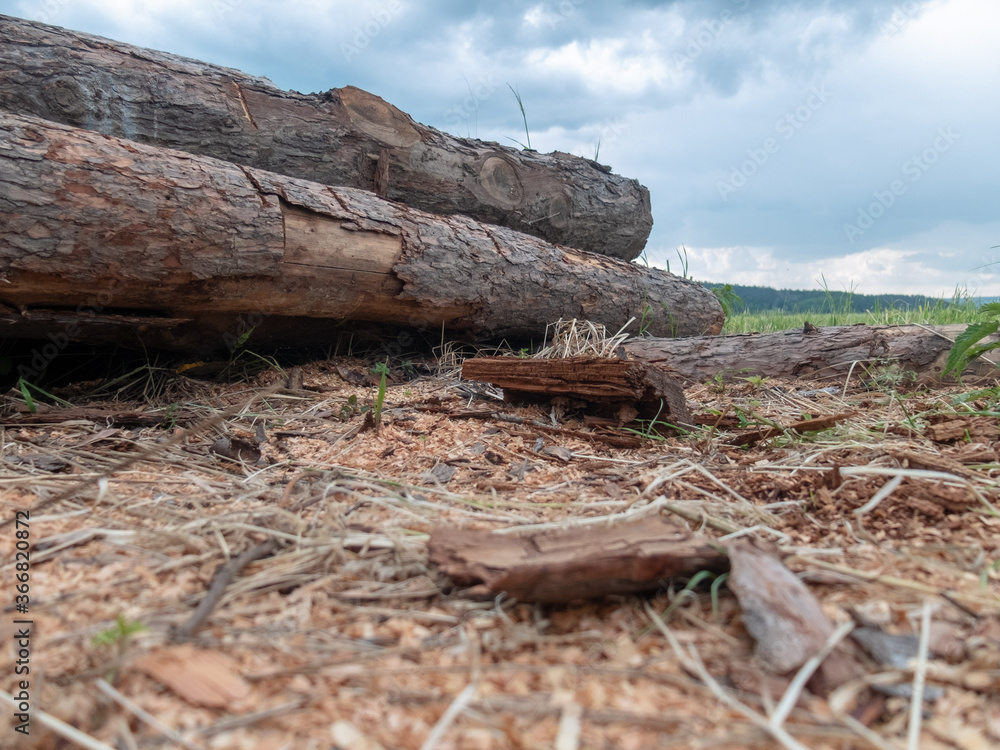 Chopped wood Chopped wood